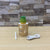 Pineapple USB Aroma Diffuser Humidifier Air Purifier, Air Freshener-SP4657