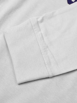 U.S Polo Assn. Long Sleeve Polo Shirt For Men-Blue & Grey-BE337/BR1118