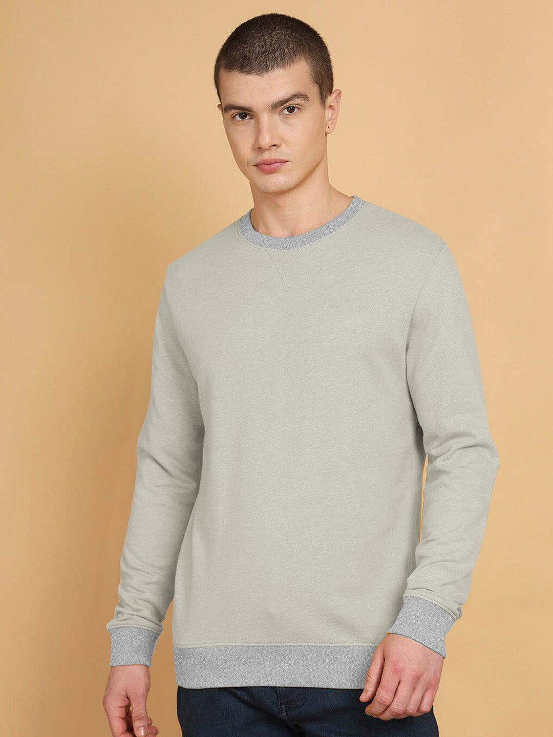 Upgrade Fashion Terry Fleece Funky Style Sweatshirt For Men-Wheat with Grey-BE2355