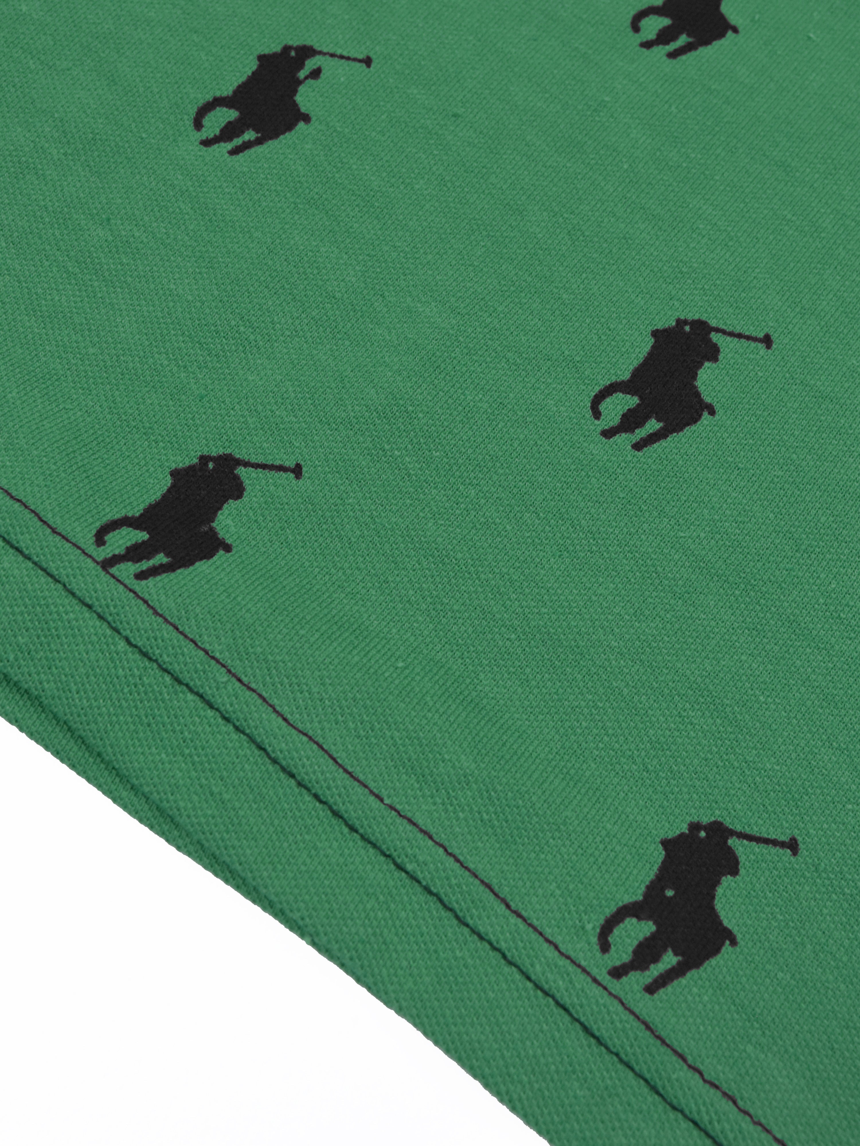 PRL Summer Polo Shirt For Men-Green Melange with Allover Print-SP1452/RT2340