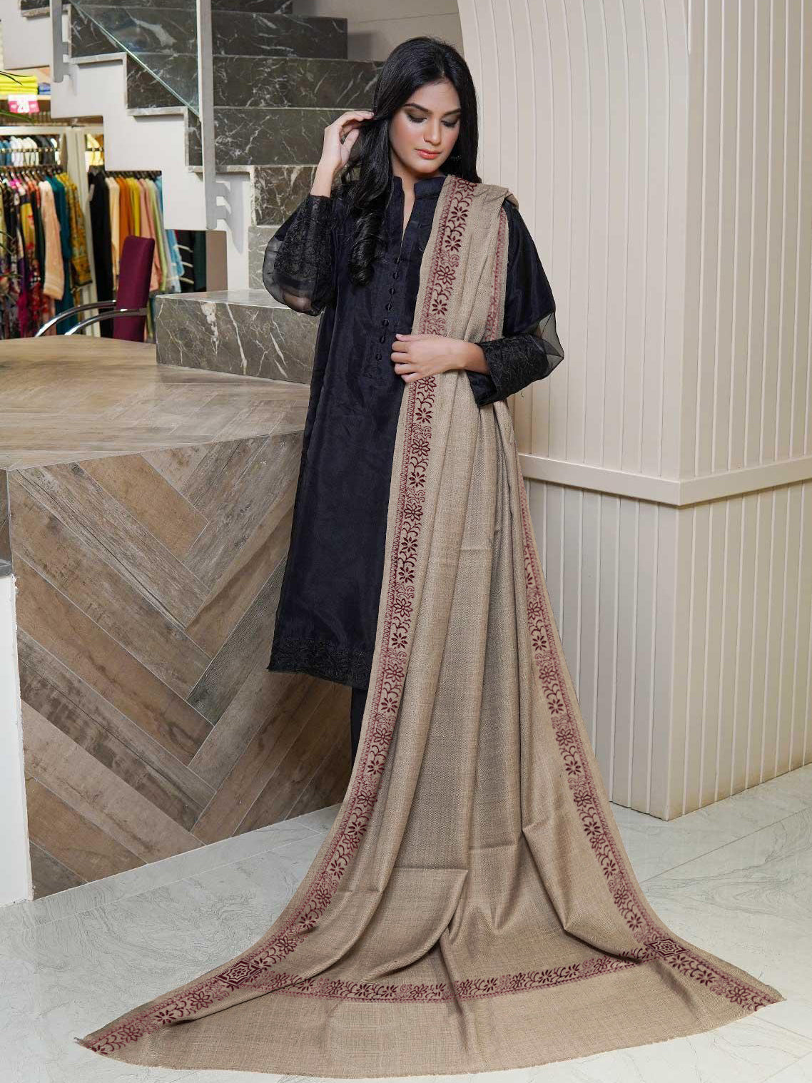 Premium Luxury Pashmina Wool Border Work Shawl For Ladies-RT1539