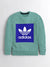 Adidas Crew Neck Terry Fleece Sweatshirt For Men-Cyan Green & Blue-RT925